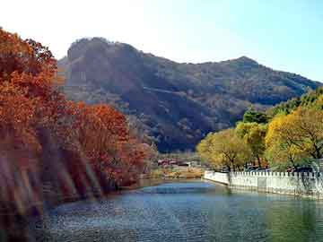 澳门一码一肖一恃一中312期，渤海石油职业学院